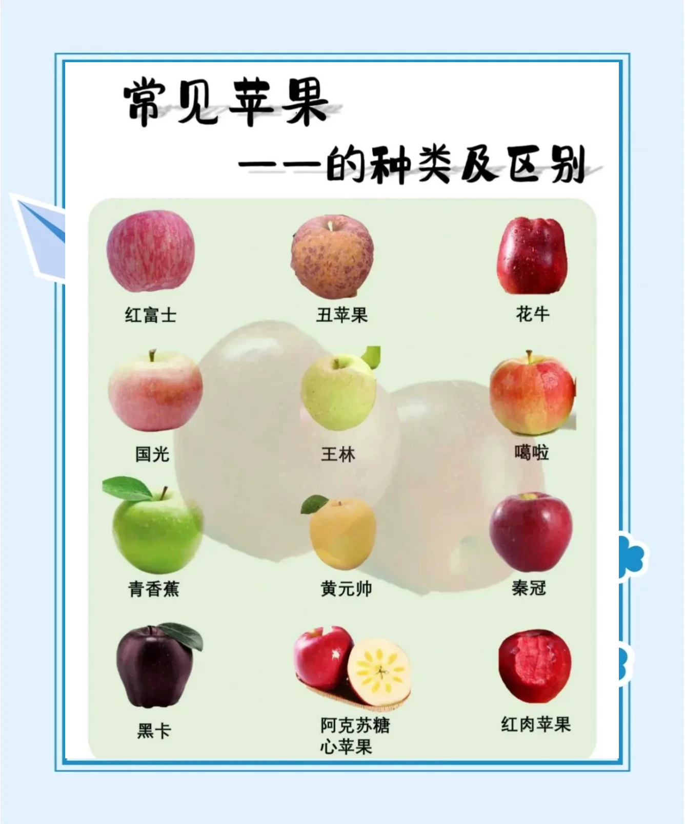 韩国版和美国版苹果区别(美版苹果和韩版苹果哪个好)-第4张图片-有道翻译官网 韩国版和美国版苹果区别(美版苹果和韩版苹果哪个好)-第4张图片-有道翻译官网