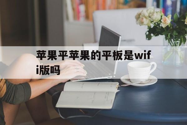 苹果平苹果的平板是wifi版吗(苹果平板wifi版是什么意思)-第2张图片-有道翻译官网
