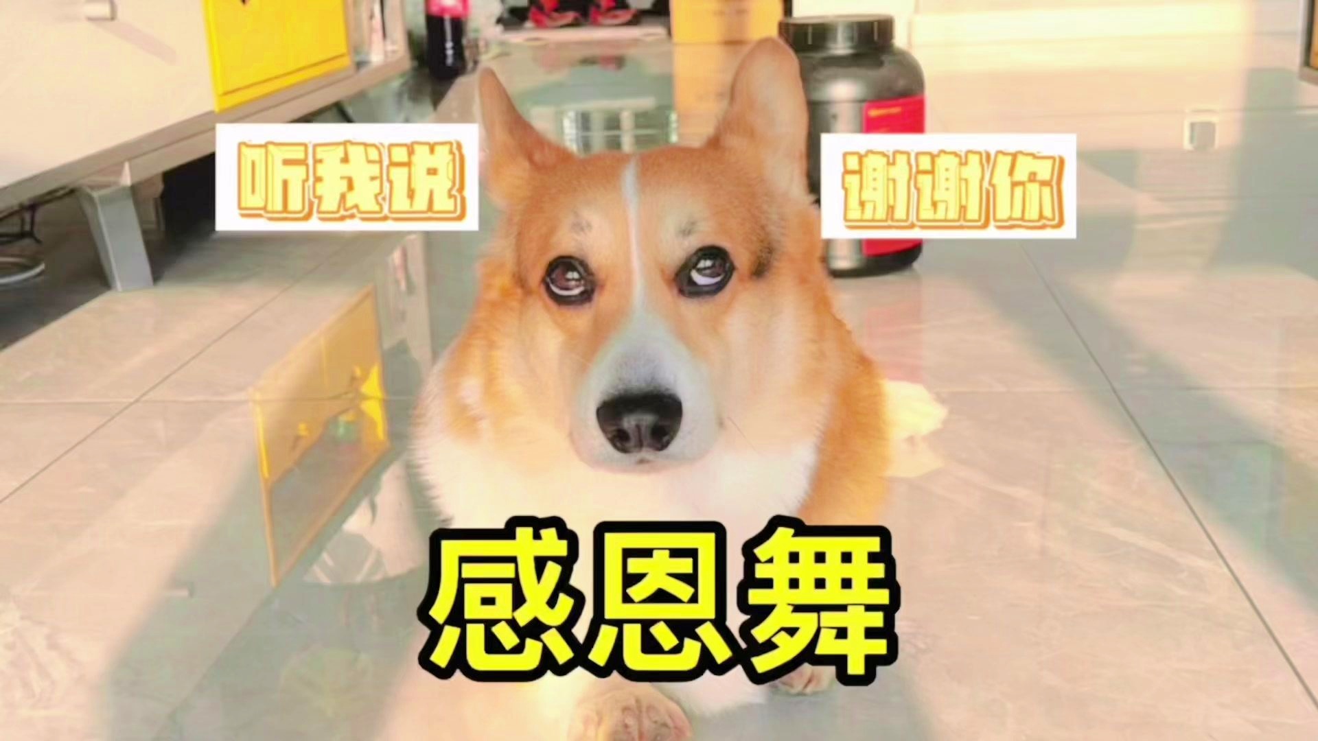 感恩舞搞笑版下载苹果版(感恩的舞蹈简单又好看2分钟左右)-第3张图片-有道翻译官网