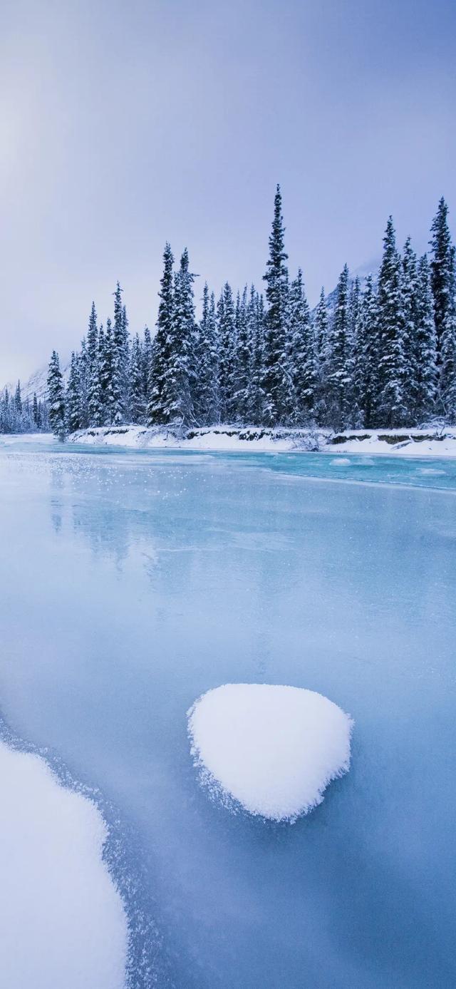 冬日调色苹果手机版(冬日调色苹果手机版下载)-第17张图片-有道翻译官网