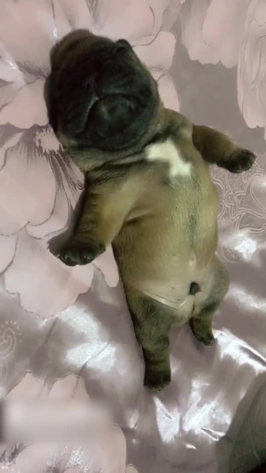 鬼畜版山寨苹果手机(鬼畜app下载ios)-第9张图片-有道翻译官网